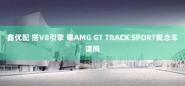 鑫优配 搭V8引擎 曝AMG GT TRACK SPORT概念车谍照